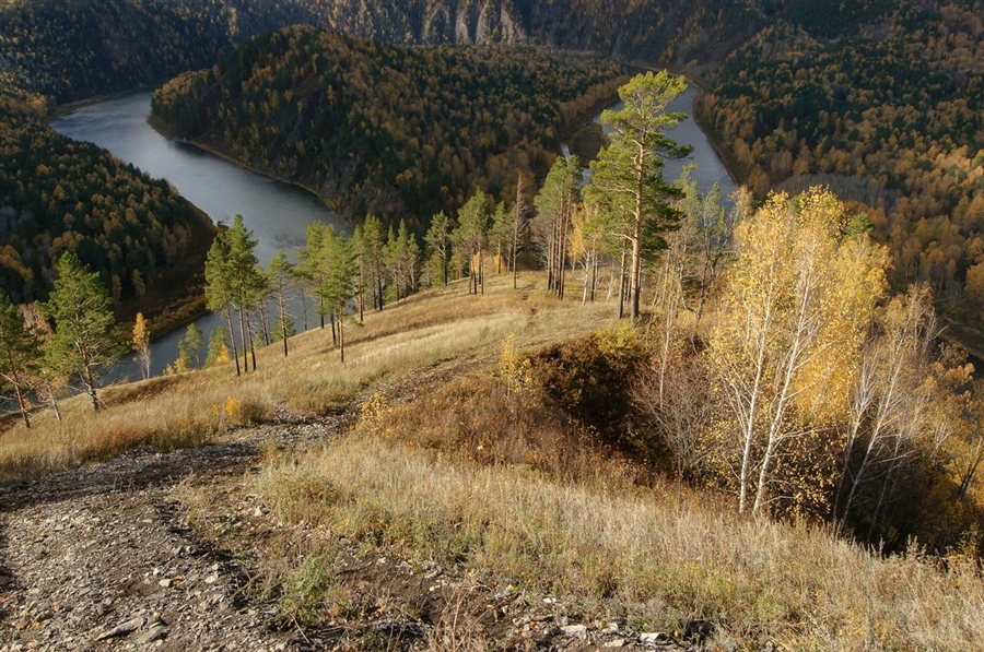 Фото жизнь