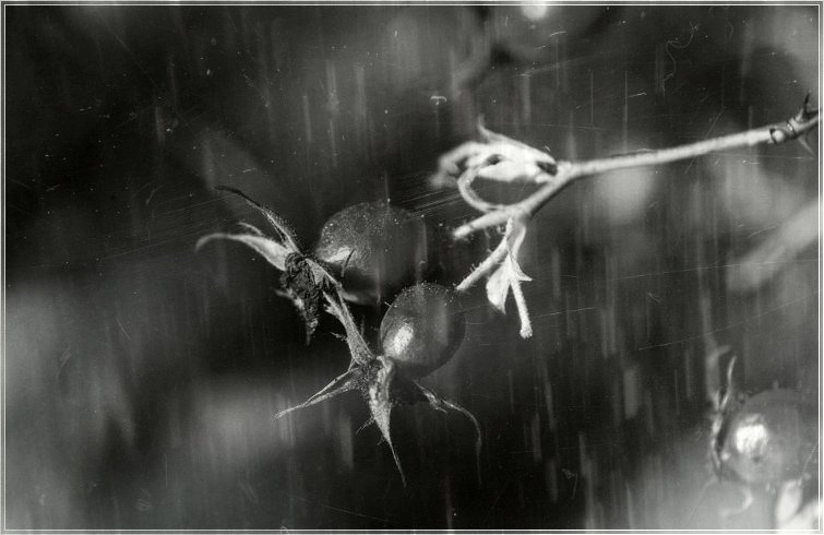 Фото жизнь (light) - Александр Голубев - корневой каталог - Осень