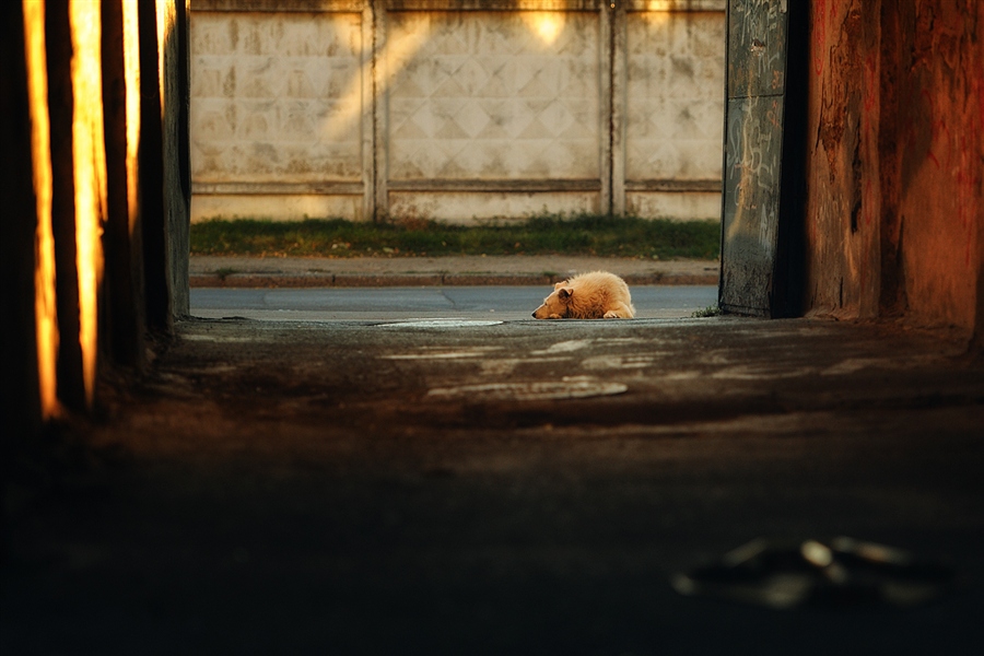Фото жизнь