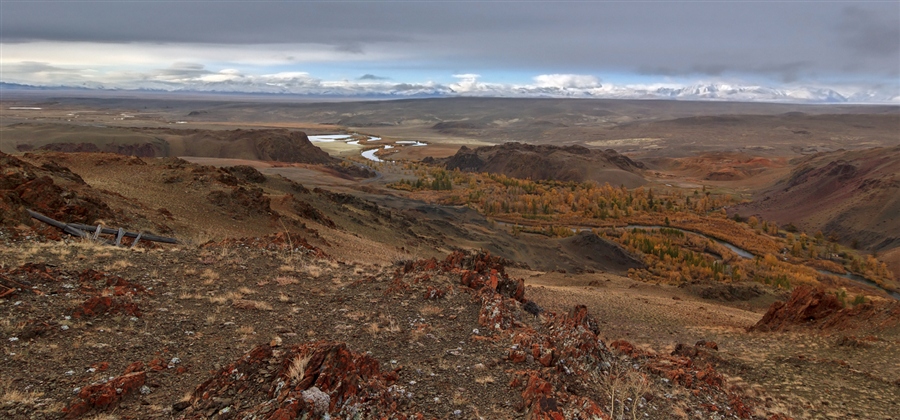 Фото жизнь