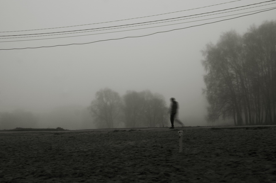 Фото жизнь (light) -  Юлия - корневой каталог - туманоутро