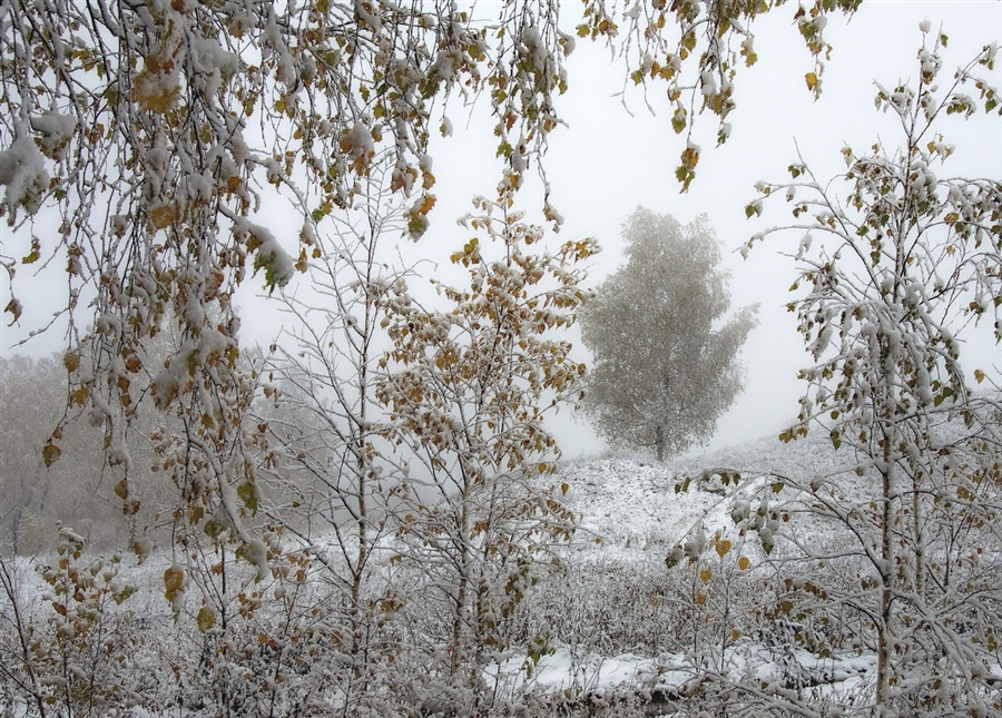 Фото жизнь