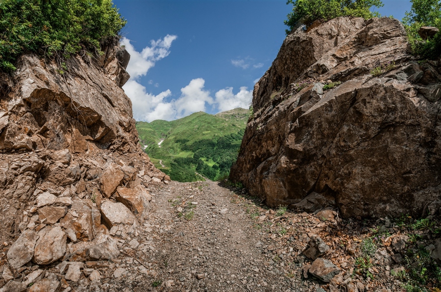 Фото жизнь