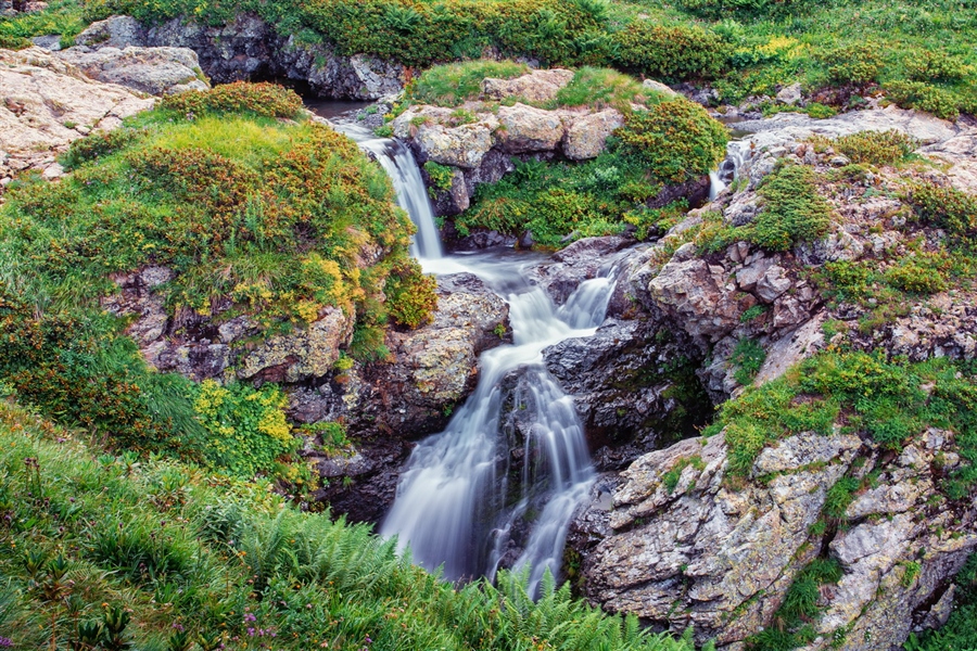 Фото жизнь