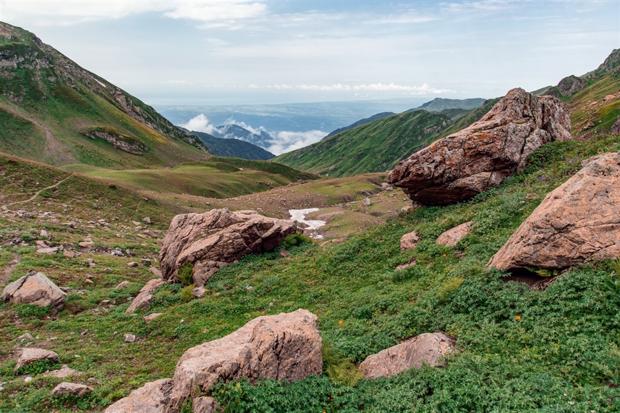 Фото жизнь