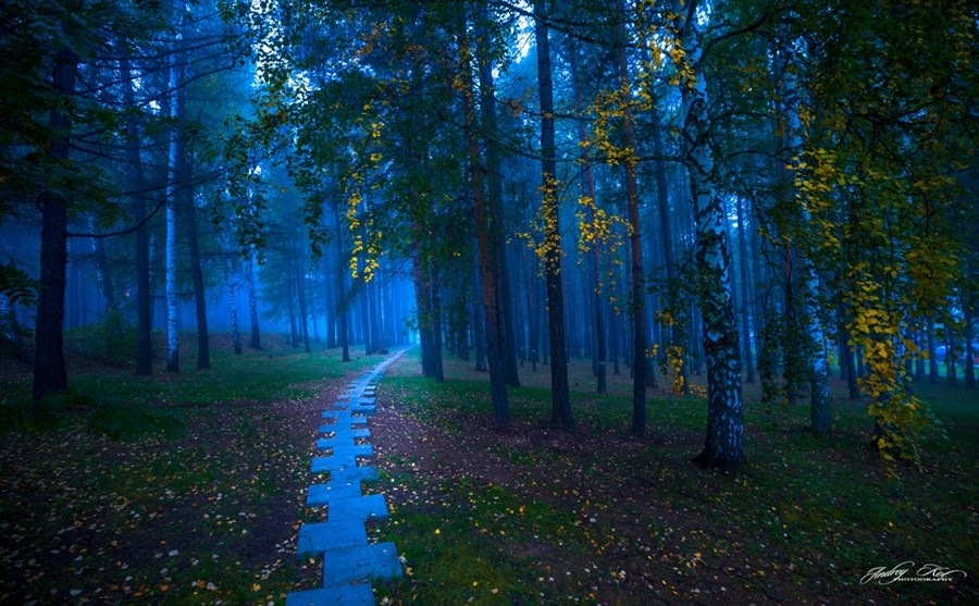 Фото жизнь