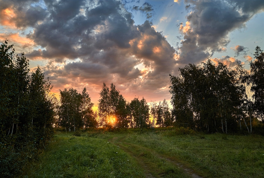 Фото жизнь