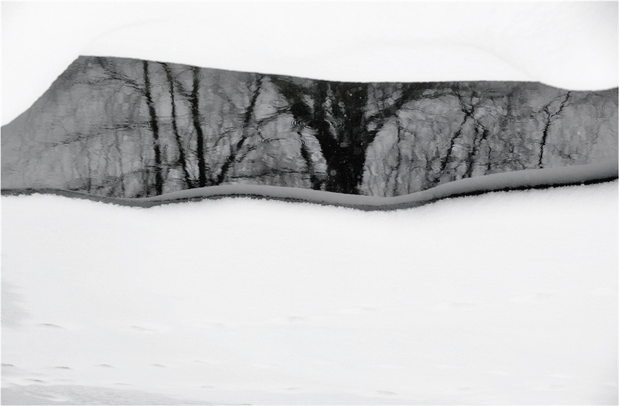 Фото жизнь (light) - I-Rina - корневой каталог - Осколки зимы