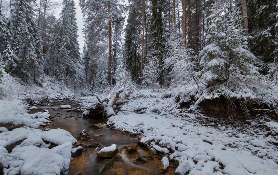Фото жизнь