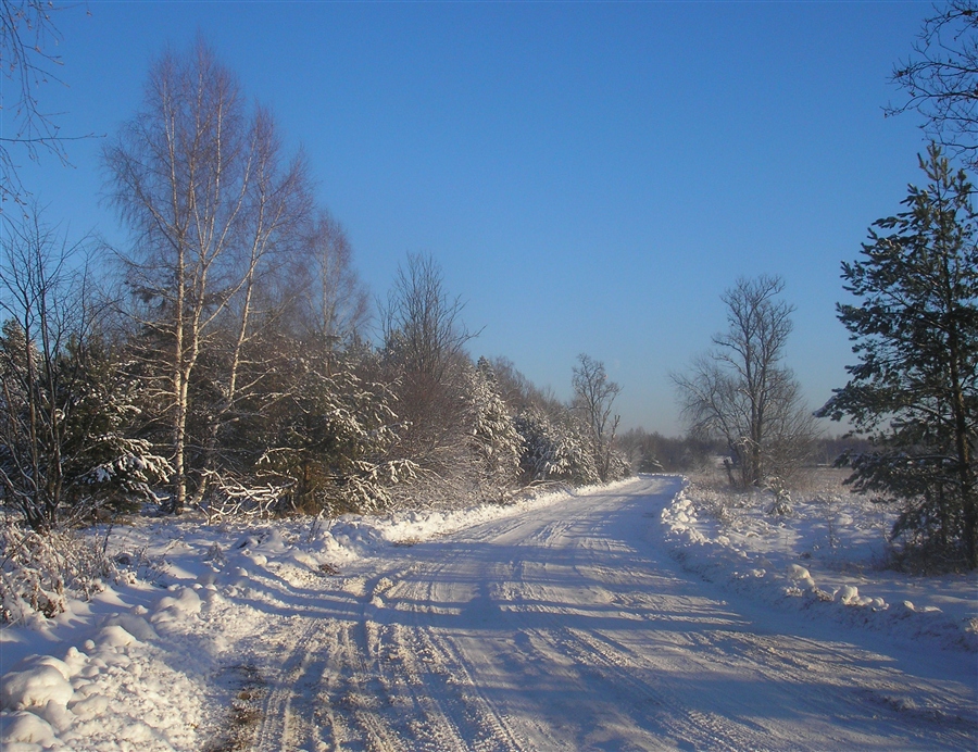 Фото жизнь