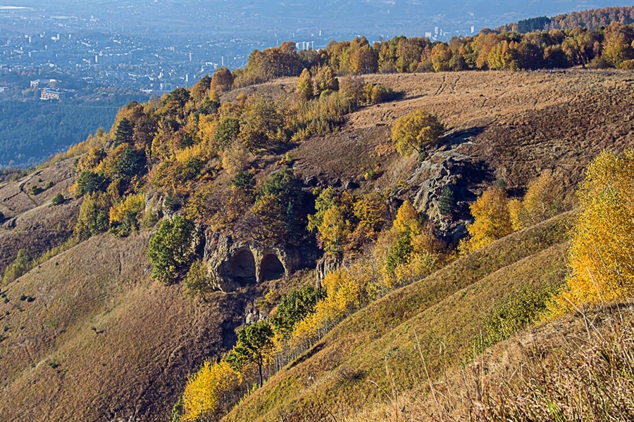 Фото жизнь