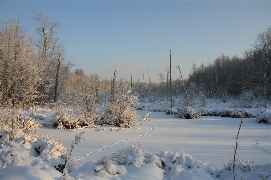 Фото жизнь