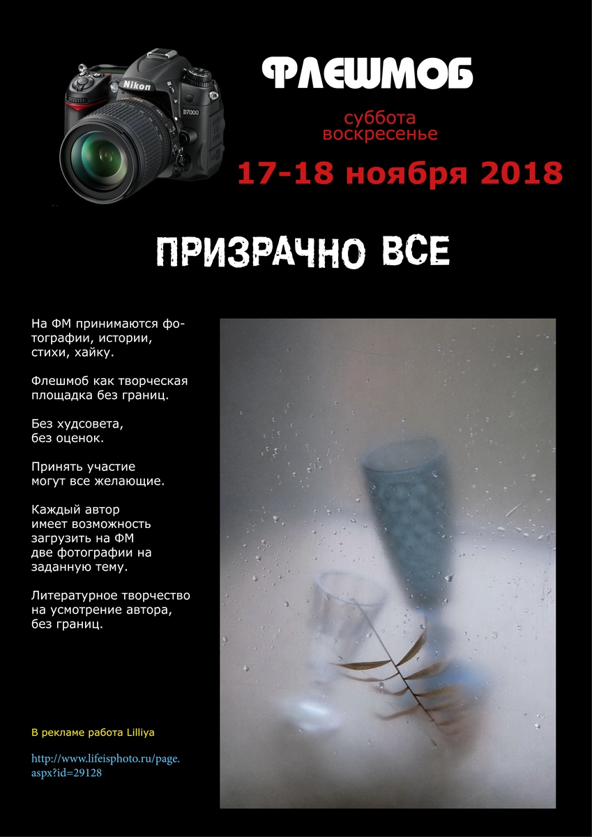 ?¤??N??? ?¶???·??N?