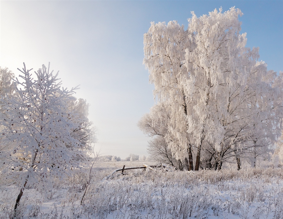 Фото жизнь