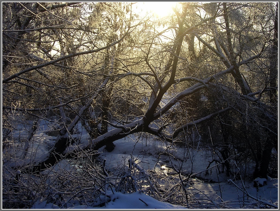 Фото жизнь