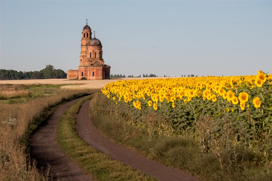 Фото жизнь