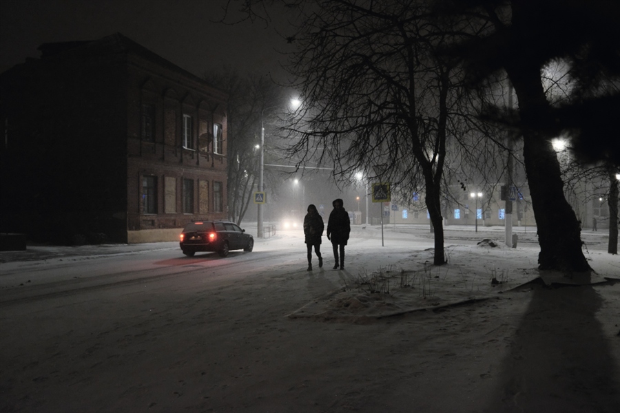 Фото жизнь (light) - Дмитрий Павлов - корневой каталог - Вечерний снегопад 4
