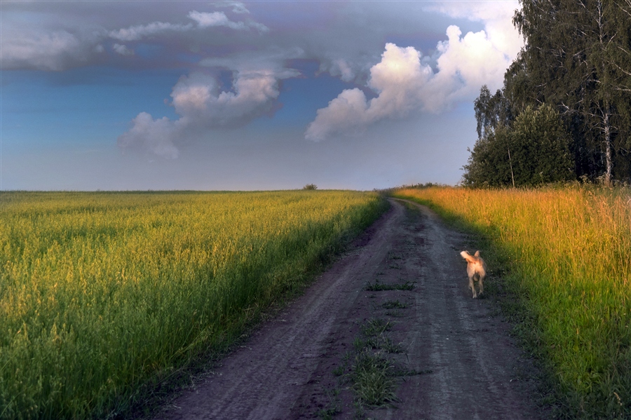 Фото жизнь