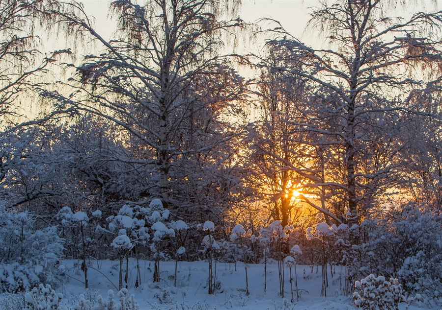 Фото жизнь