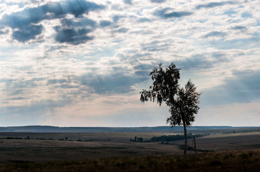 Фото жизнь