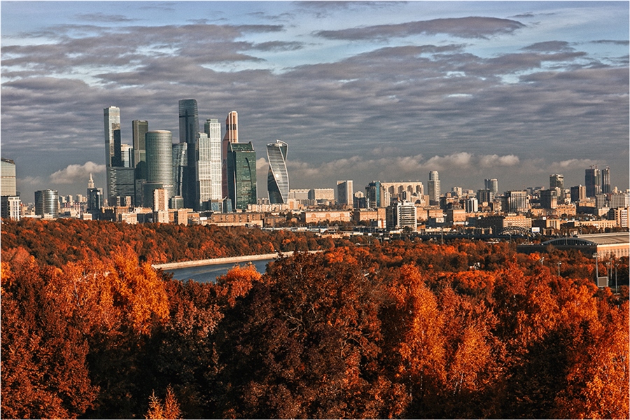 Фото жизнь