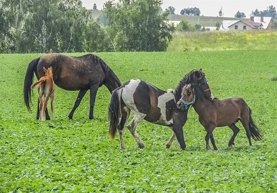 Фото жизнь