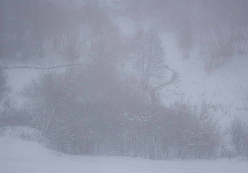 Фото жизнь - elen2410 - корневой каталог - Зимний туман