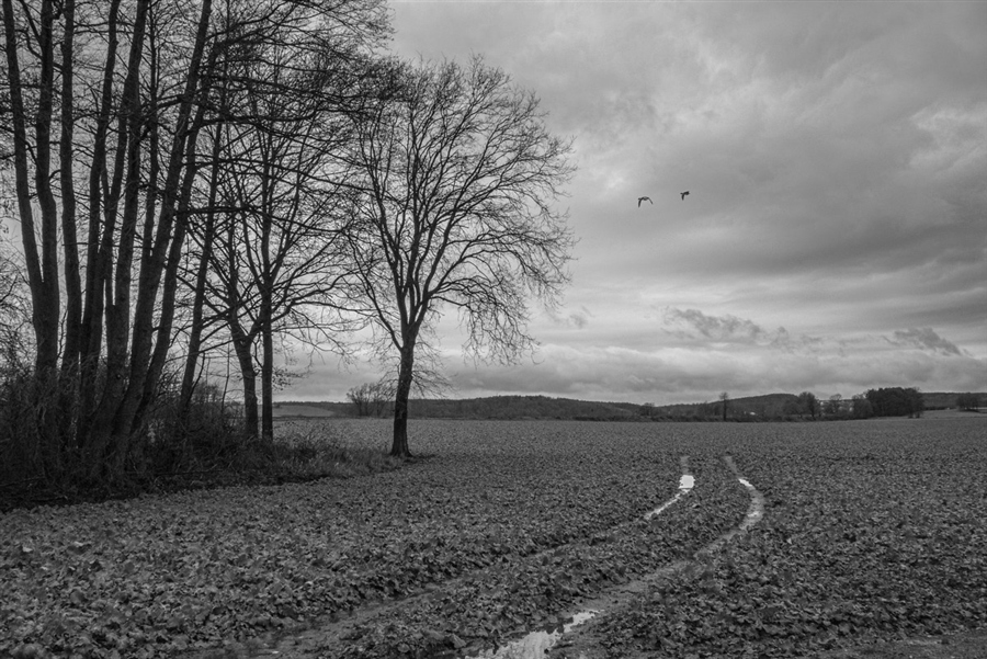 Фото жизнь (light) - Валентин Шурыгин - корневой каталог - Ненастье