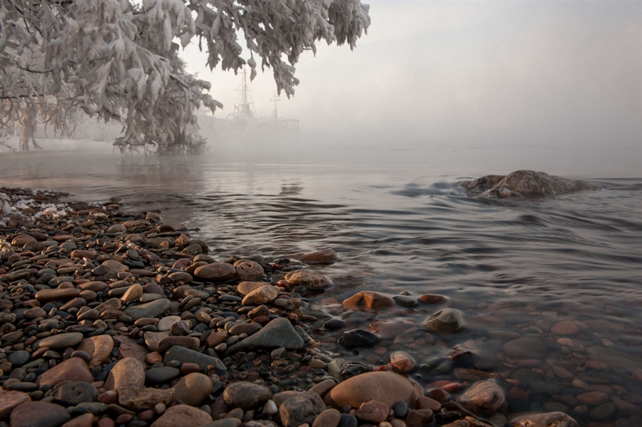 Фото жизнь