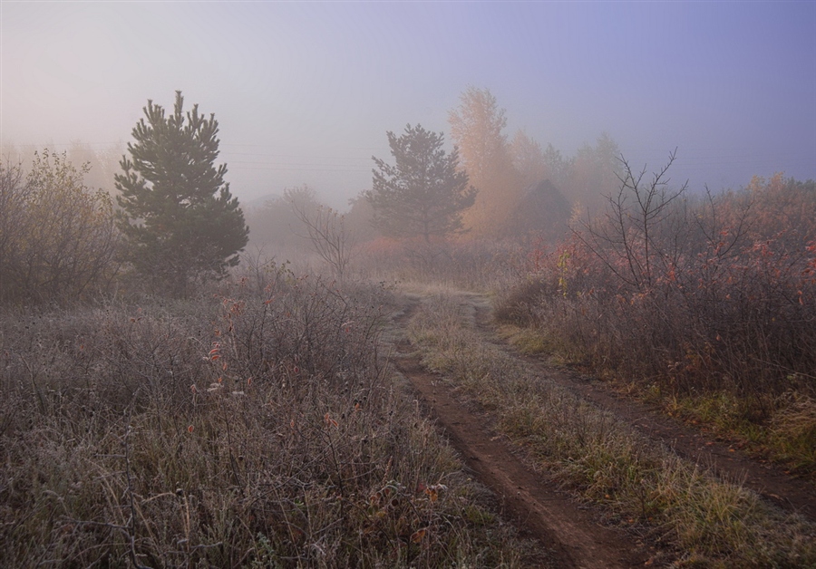 Фото жизнь (light) - makwel - корневой каталог - Осеннее прохладное утро