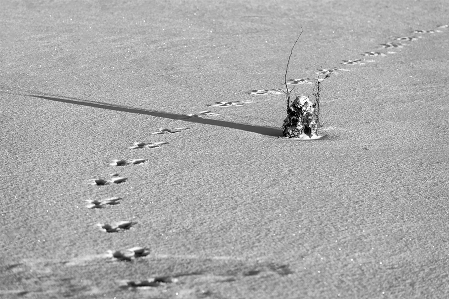 Фото жизнь (light) - Яковлев Артур - Этюды, зарисовки и другое. - ===