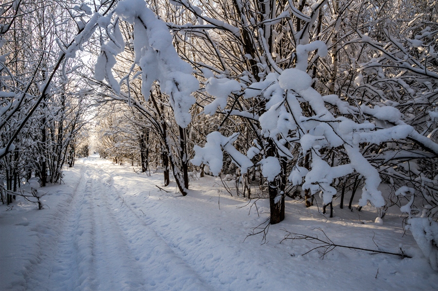 Фото жизнь