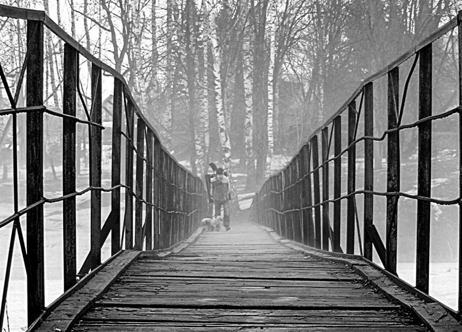 Фото жизнь (light) - elen2410 - корневой каталог - ---