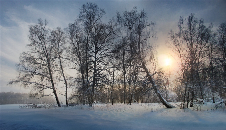 Фото жизнь (light) - Александр Шадраков - корневой каталог - ЗИМА