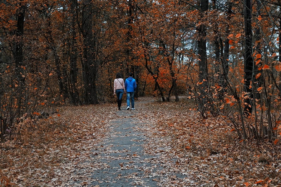 Фото жизнь