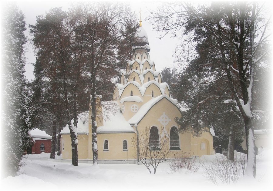 Фото жизнь