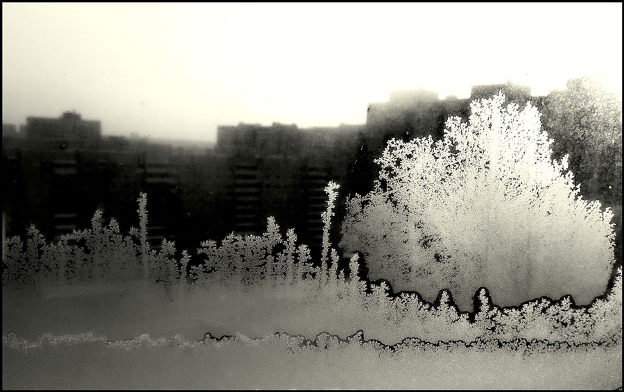 Фото жизнь (light) - Юрий Буров - IN SOLIDUM PHASIS - ***