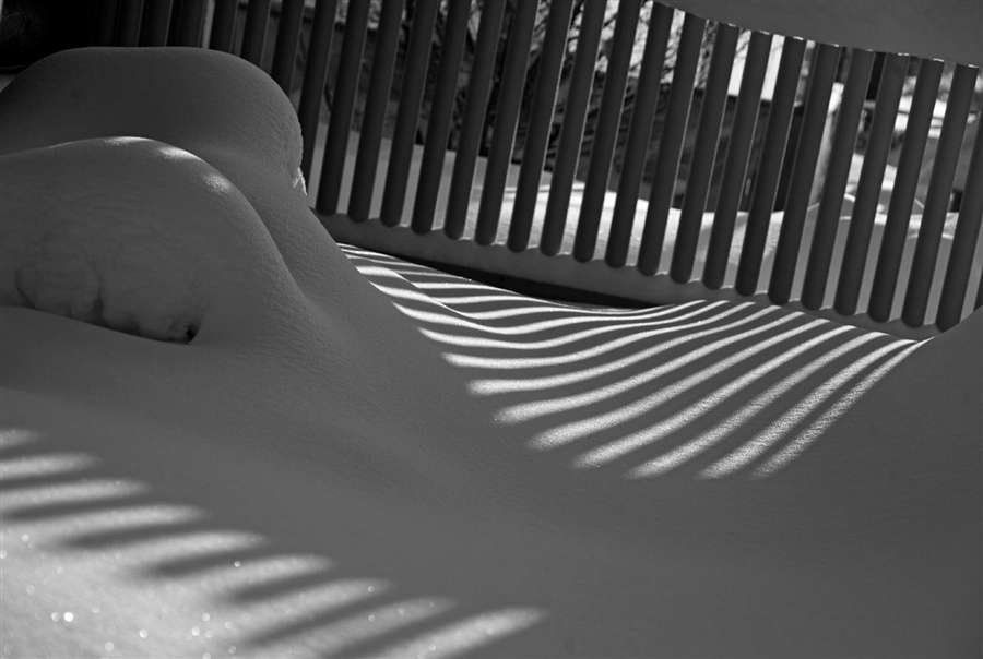 Фото жизнь (light) - Печенкина Наталия - корневой каталог - снежная полосатость или полосатая снежность