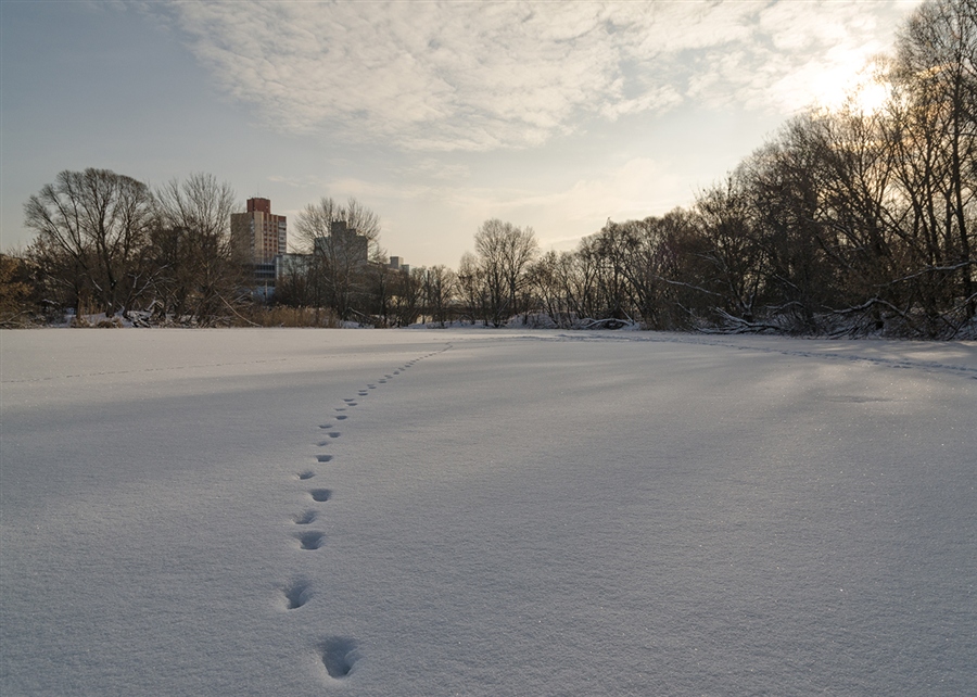 Фото жизнь