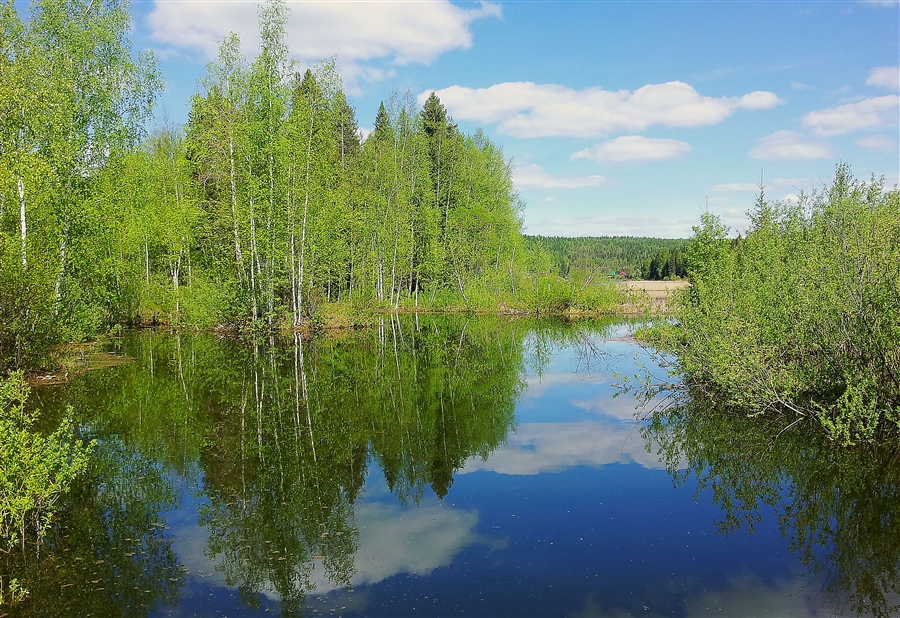 Фото жизнь