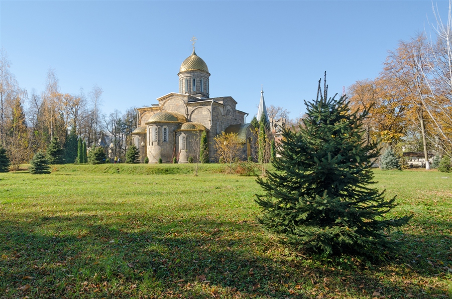 Фото жизнь