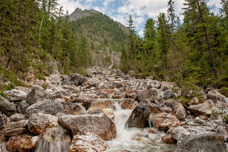 Фото жизнь