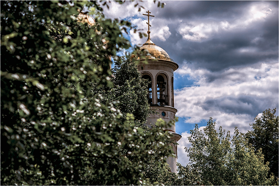 Фото жизнь