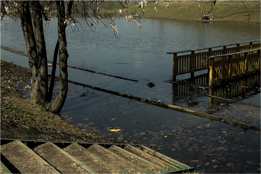 Фото жизнь