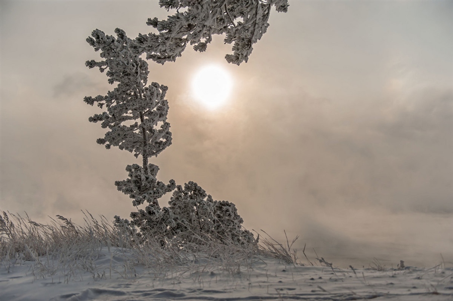 Фото жизнь