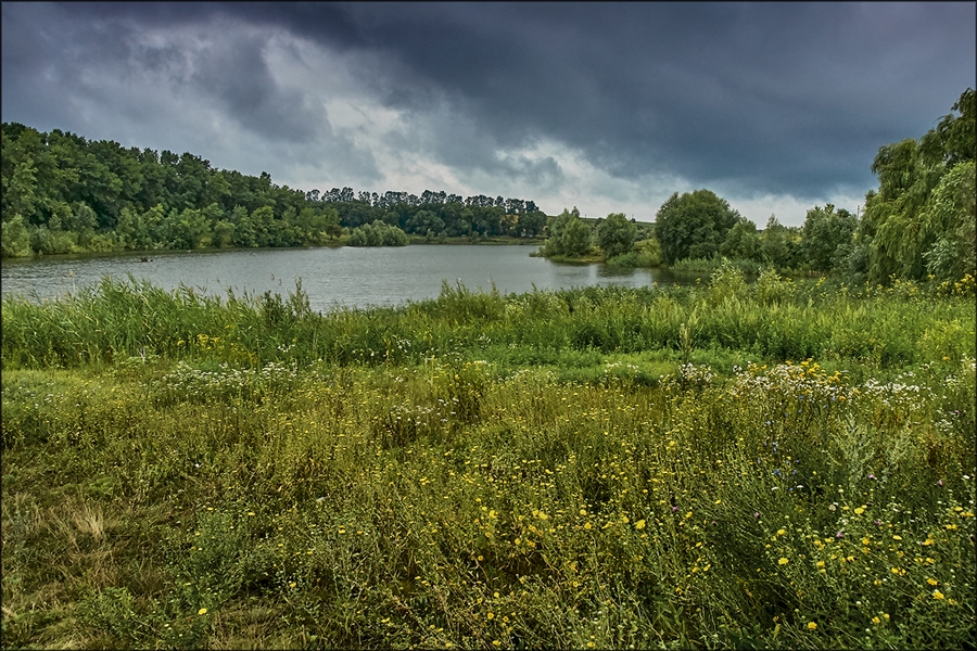 Фото жизнь
