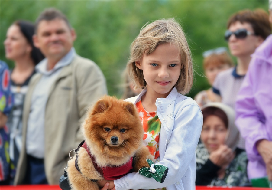 Фото жизнь