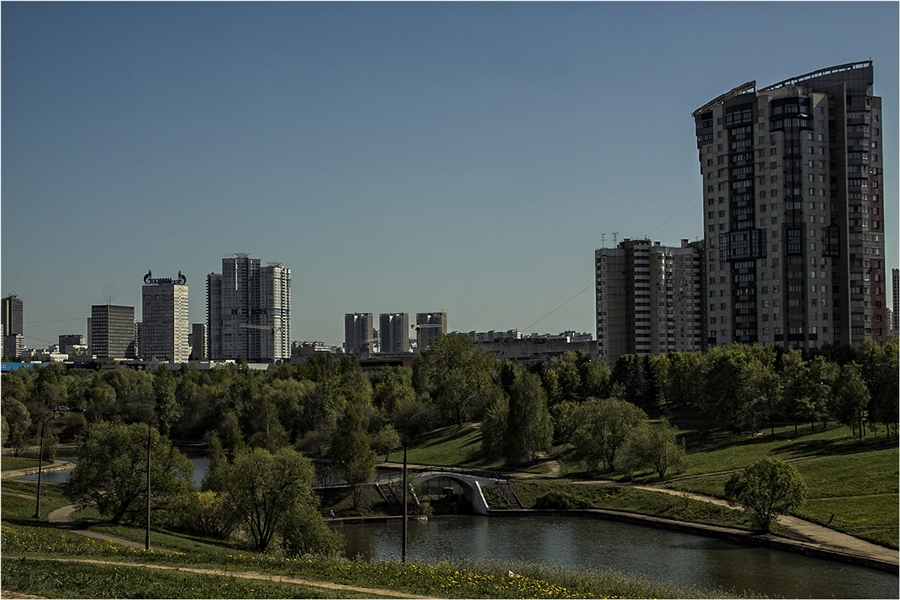 Фото жизнь
