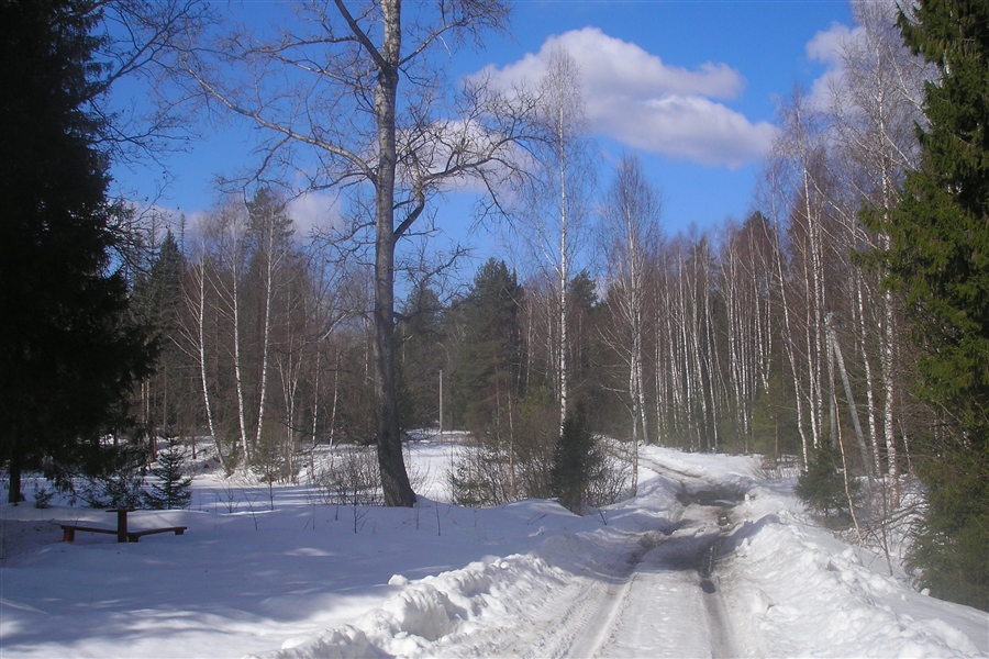 Фото жизнь