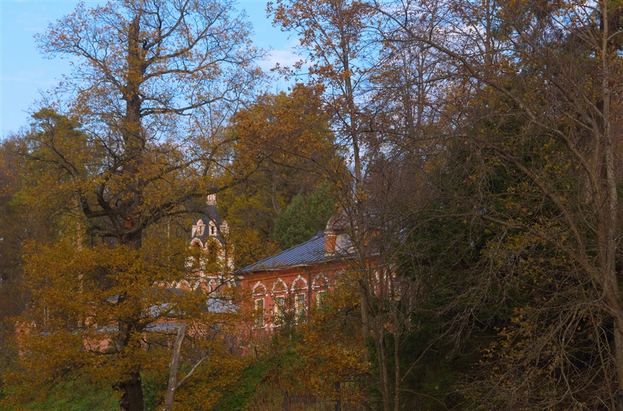 Фото жизнь